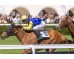  Carrera: P.Maracay Monta: G. Arguinzones Caballo: Earthview